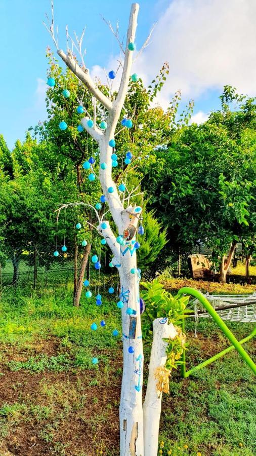 凯梅尔Flora Pansiyon Cirali公寓 外观 照片